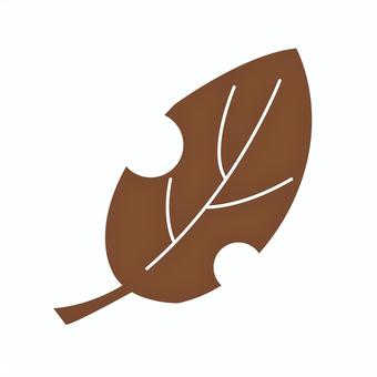 Fallen leaves B, JPG and PNG Fallen leaves B, fallen leaves, leaf, autumn leaves, JPG and PNG