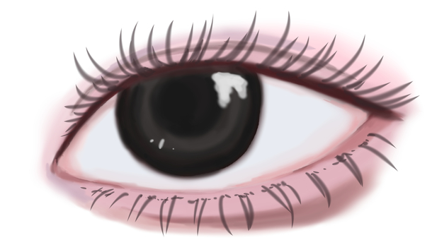 Illustration, глаз, макияж для глаз, зрачок, 