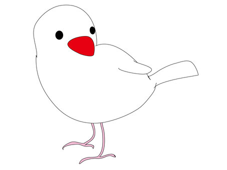 Little bird, white bird,, birdie, sentenced bird, white bird, JPG