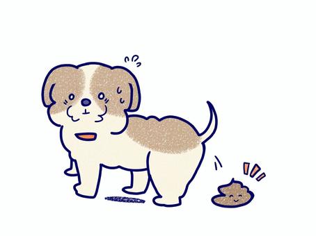 うんちを漏らしてしまったシーズー犬 うんちを漏らしてしまったシーズー犬 犬,シーズー犬,小型犬,うんち,漏らす,トイレ,焦る,汗,しつけ,無料のイラスト素材