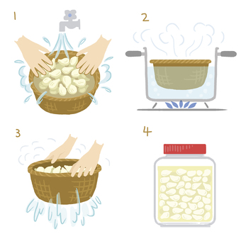 Illustration, rakkyo, pickles, how to make, 