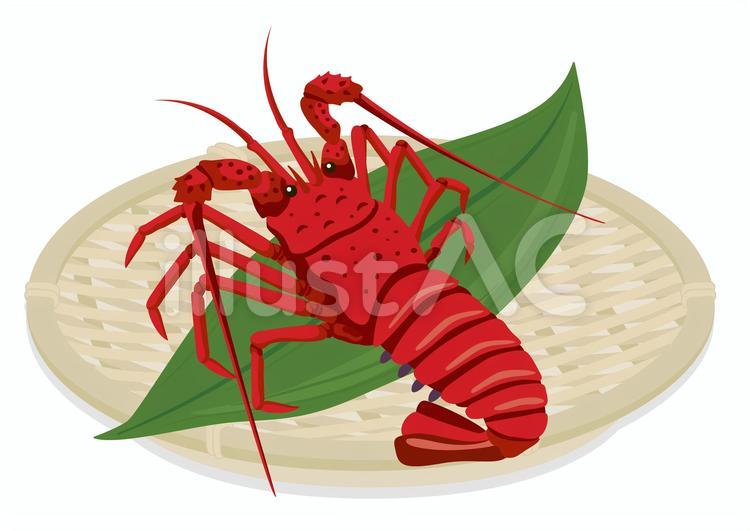 Illustac關鍵詞搜尋 養殖蝦 Illustac