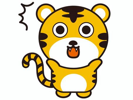 Tiger "surprised, surprised", JPG and PNG Tiger "surprised, surprised", tigre, animal, felino, JPG and PNG
