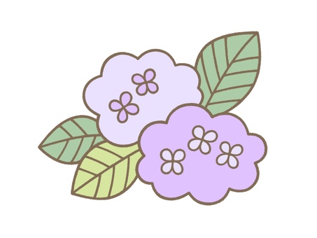 Illustration, hydrangea, flower, leaf, 