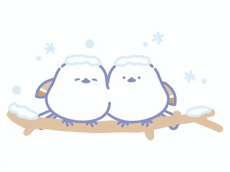 頭に雪が積もったパステルシマエナガ2羽 シマエナガ,鳥,野鳥,生き物,動物,雪,冬,氷,自然,森のイラスト素材
