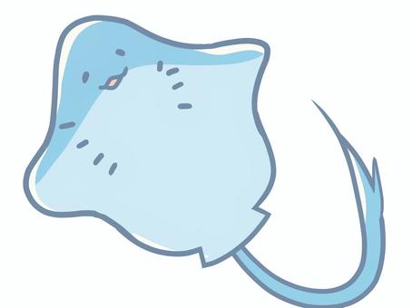 エイ エイ,動物,可愛い,癒し,海,水族館,水のイラスト素材