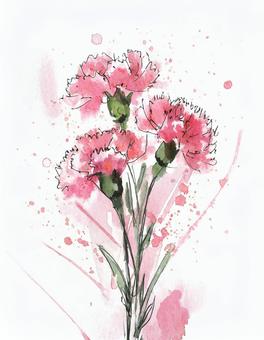 Watercolor style illustration of pink carnation, , JPG