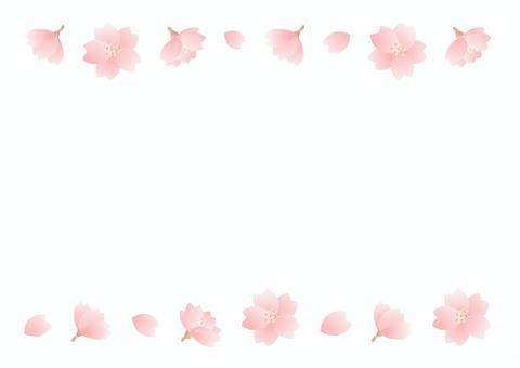 桜の花の春のフレーム、桜イラスト03 桜の花の春のフレーム、桜イラスト03 春,桜,水彩,さくら,フレーム,背景,入学式,入学,花,新生活のイラスト素材