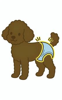 おむつを履く茶色のプードル プードル,おむつ,マナーパンツ,ペット,マーキング,粗相,サニタリー,介護のイラスト素材