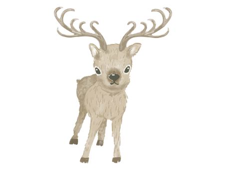 トナカイ トナカイ トナカイ,動物,クリスマス,生き物,哺乳類,かわいい,冬,水彩画,ツノ,全身のイラスト素材