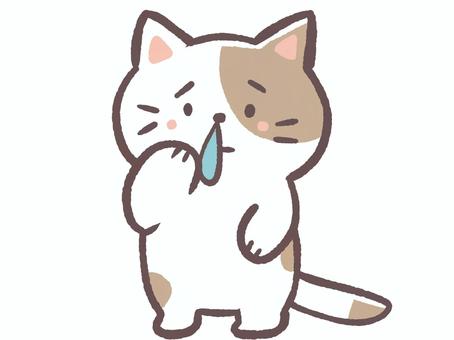 風邪か花粉症で鼻水が出てる動物の猫 猫,鼻水,風邪,花粉症,病院,内科,小児科,耳鼻科,病気,診察のイラスト素材
