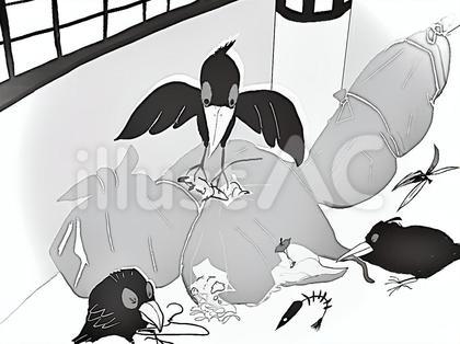 ゴミを荒らすカラスたち モノクロ