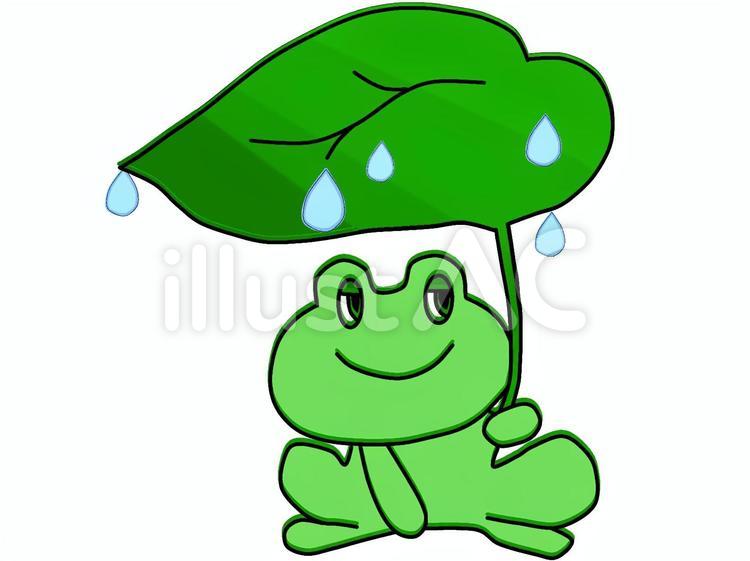 梅雨 梅雨,カエル,葉のイラスト素材