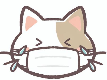 風邪か花粉症でマスクをして泣く動物の猫 風邪か花粉症でマスクをして泣く動物の猫 マスク,花粉症,病院,風邪,コロナ,インフルエンザ,病気,内科,小児科,耳鼻科のイラスト素材