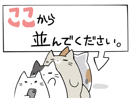 行列整理 ここから ねこ ねこ,白猫,三毛猫,行列,スマホ,指示,主線あり,イメージ,動物,ゆるかわのイラスト素材