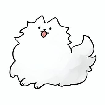 ゆるいポメラニアン