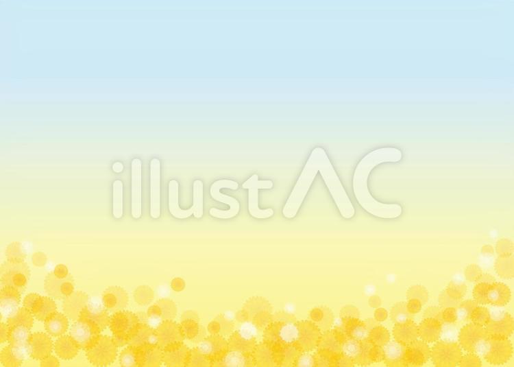 タンポポ、背景、A4横、塗足付 背景,a4,横のイラスト素材