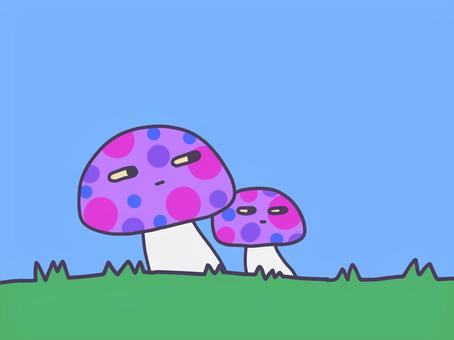 目つきの悪い毒キノコ キノコ,毒,カラフル,ジト目,派手,水玉模様,菌類,ゆるカワ,食中毒,有毒のイラスト素材