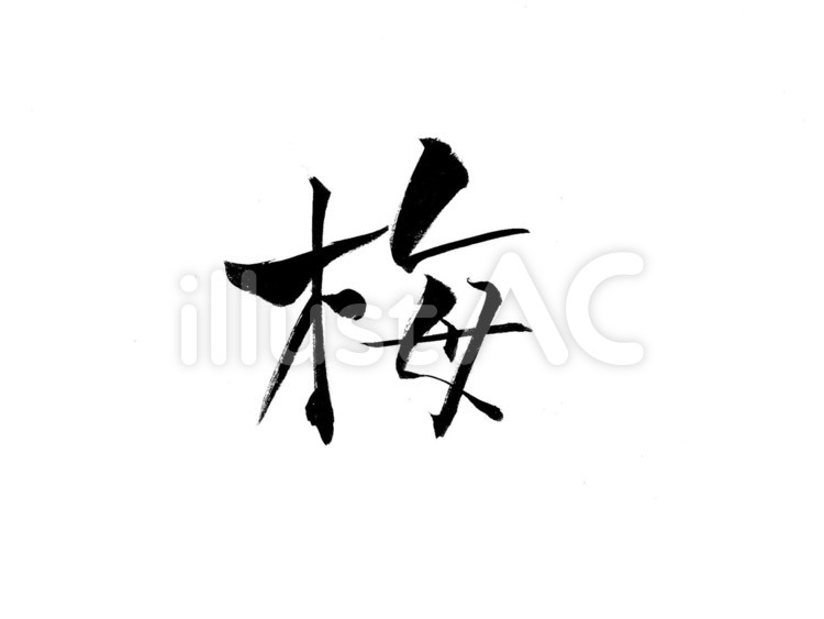 筆文字　梅 梅,筆文字,花のイラスト素材