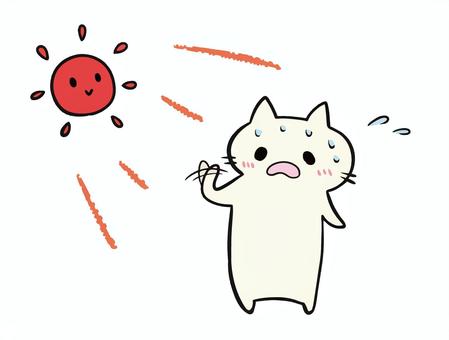 Hot cat, JPG, PNG and AI Hot cat, , JPG, PNG and AI