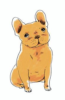 フレンチブルドッグ フレンチブルドッグ,犬,ペット,ドッグ,可愛い,キュート,スケッチのイラスト素材