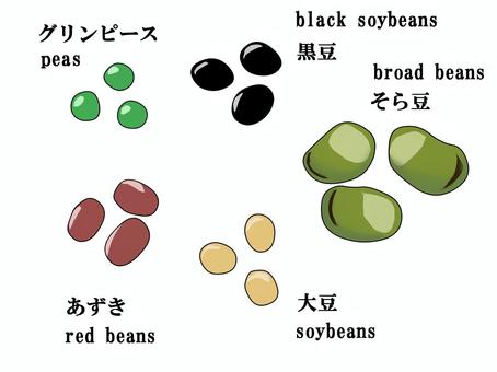 豆　セット素材 グリンピース,黒豆,そら豆,大豆,あすき,小豆,ダイズ,粒,セット,blackのイラスト素材