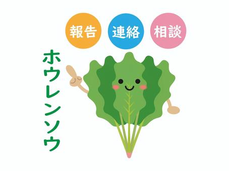 Illustration, spinach, with the phase, report, 
