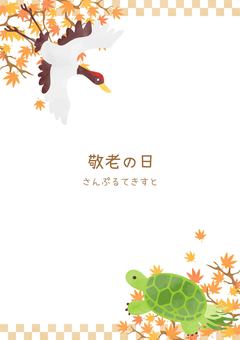 鶴と亀がいる敬老の日のフレームイラスト 敬老の日,フレーム,鶴,亀,秋,動物,植物,紅葉,和柄,手描き風のイラスト素材