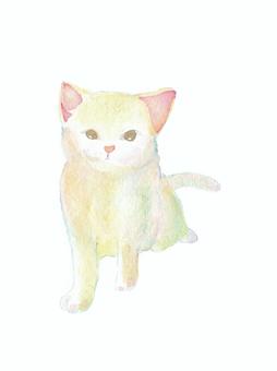 Illustration, cat, white, animal, 