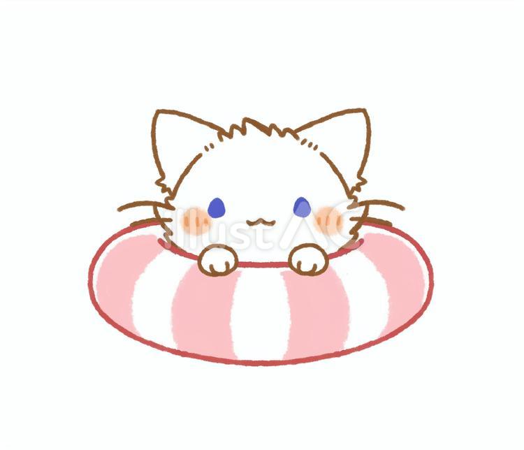 浮き輪と白猫さんのイラスト 猫,白猫,夏のイラスト素材