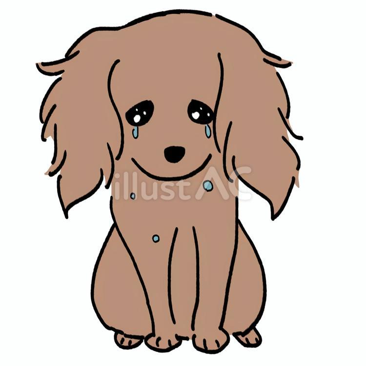 涙を流す犬 犬,動物,小型犬のイラスト素材