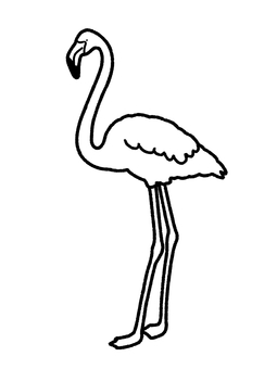 フラミンゴ フラミンゴ,鳥,動物園,生き物,塗り絵のイラスト素材