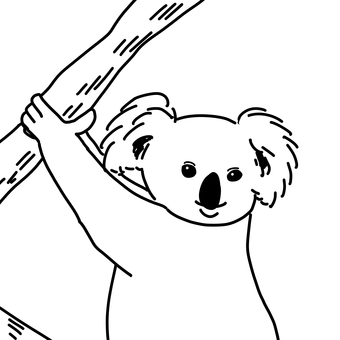 木に掴まるコアラの線画 コアラ,動物,木,線画,手描きのイラスト素材