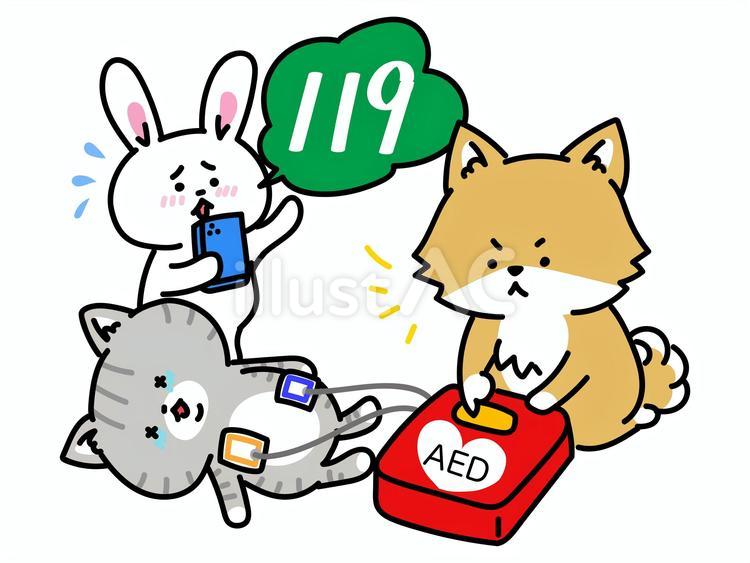 AEDで救命措置！救急車も呼んでください うさぎ,救急車,119のイラスト素材