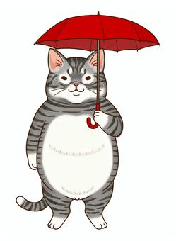 赤い傘をさす猫