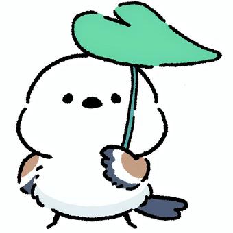 シマエナガ_葉っぱの傘_04 シマエナガ_葉っぱの傘_04 シマエナガ,鳥,動物のイラスト素材