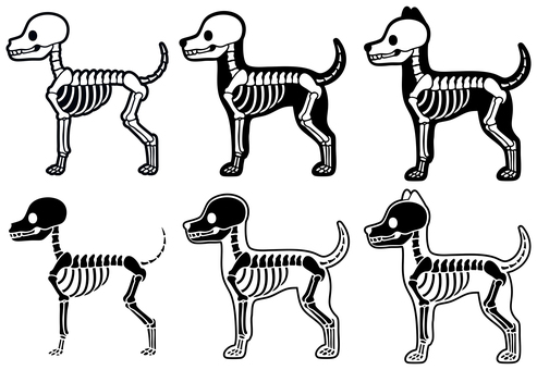 犬の全身の骨（６種） 犬,犬骨,骨,骸骨,骨格,全身,レントゲン,ホラー,かわいい,挿絵のイラスト素材