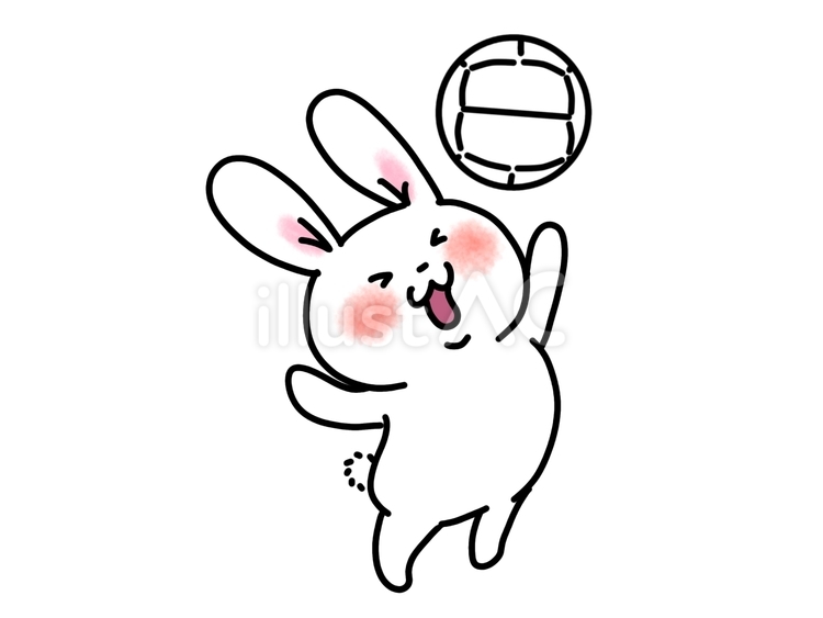 バレーボール　スパイクが打ちたいウサギ うさぎ,スパイク,アタックのイラスト素材