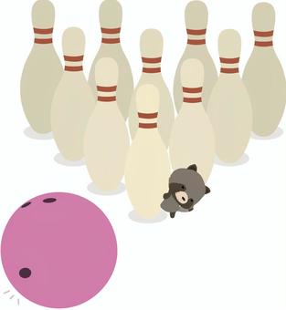 Bowling_raccoon, , JPG, PNG and AI