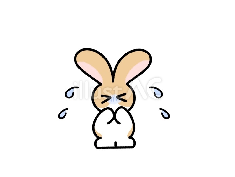 焦って謝るウサギ～茶色ダッチ～ ウサギ,ダッチ,謝るのイラスト素材
