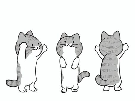 Illustration, cat, animal, a pet, JPG and PNG