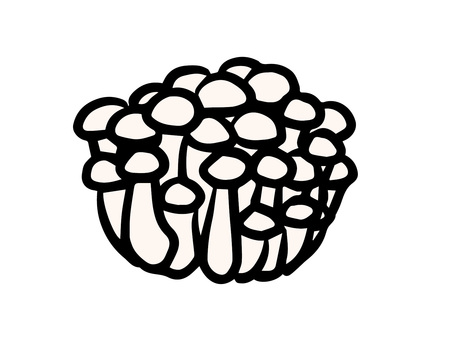 白いしめじ しめじ,白,ホワイト,ぶなしめじ,株,きのこ,料理,鍋料理,食材,秋のイラスト素材