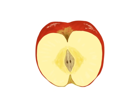 Illustration, apple, half, real, JPG and PNG