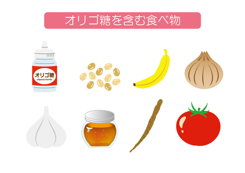 オリゴ糖を含む食べ物　セット オリゴ糖,含む,食べ物,大豆,バナナ,玉ねぎ,にんにく,蜂蜜,ごぼう,トマトのイラスト素材