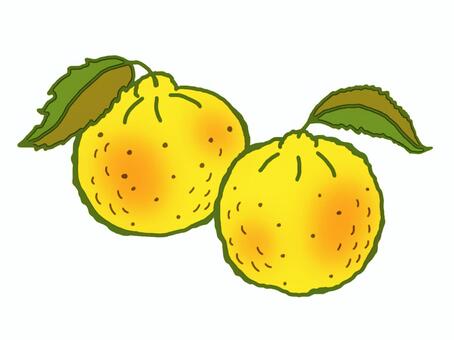 grapefruit, JPG and PNG grapefruit, grapefruit, yuzu, yellow, JPG and PNG