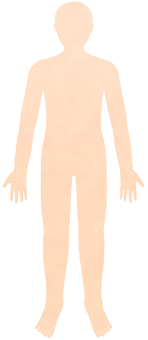 全身のシルエット（前面・肌色） 体,身体,人体,全身,頭,肩,胸,腰,腕,脚のイラスト素材