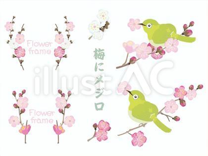 花の飾り枠75_梅に目白