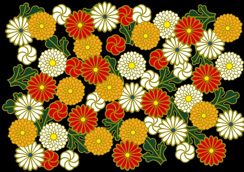 お正月の壁紙　菊と葉　黒 壁紙,背景,和柄,和風,菊,葉っぱ,赤,黄色,白,金のイラスト素材