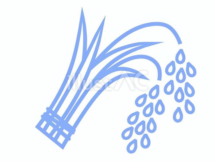 稲束のシンプルな線画イラスト（水色） 米,農業,稲作のイラスト素材