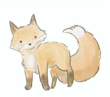 キツネ キツネ,キタキツネ,ホンドギツネ,自然,動物,野生動物,北海道のイラスト素材